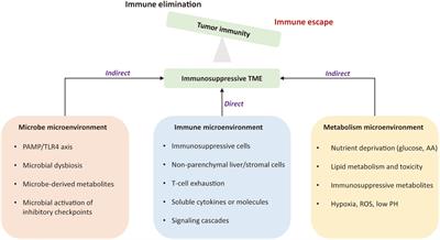 Tumor microenvironment-mediated immune evasion in hepatocellular carcinoma